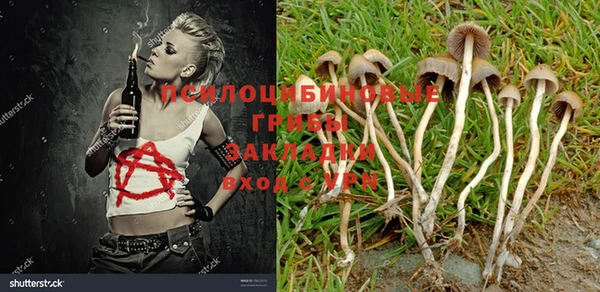 гашик Баксан